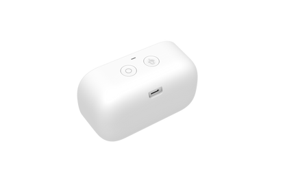 AiVo: Ai Smart Speaker Companion with Built-In ChatGPT and Emotional Recognition