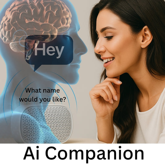 AiVo: Ai Smart Speaker Companion with Built-In ChatGPT and Emotional Recognition